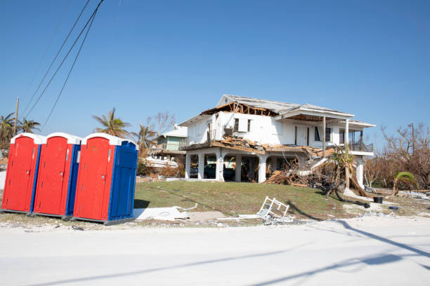  New Carrollton, MD Tree Removal Pros